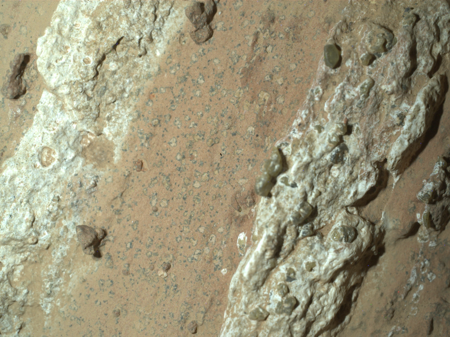 La NASA anuncia posible evidencia de vida antigua en Marte