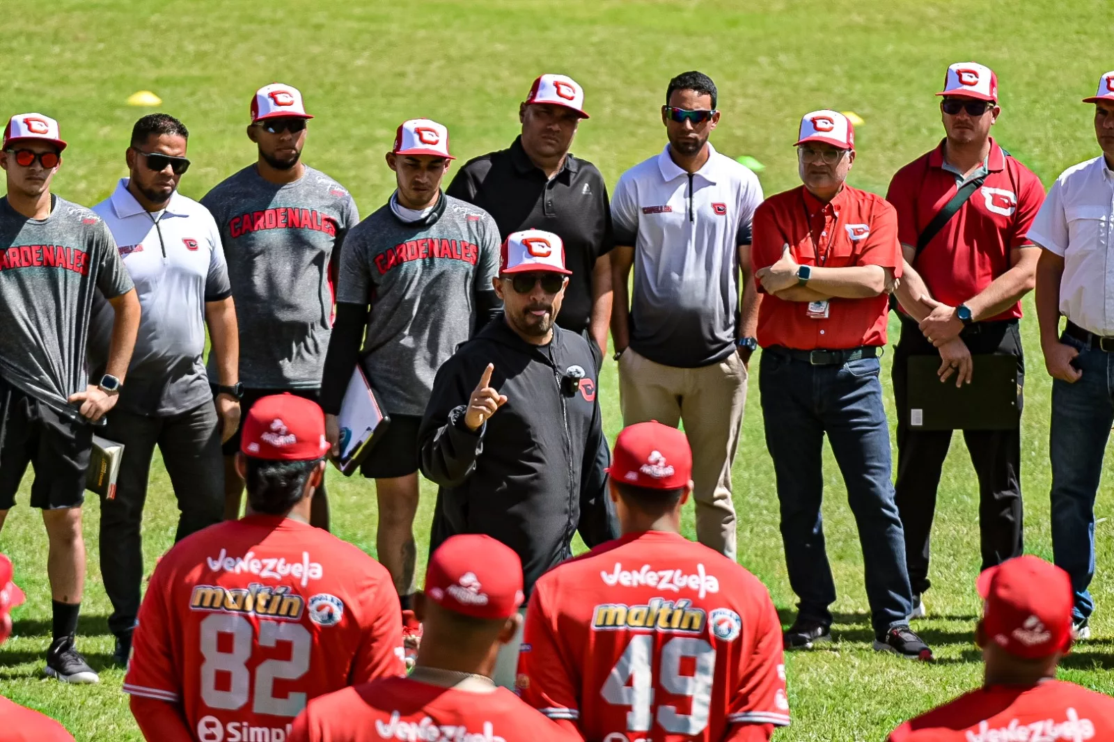 Cardenales - LVBP