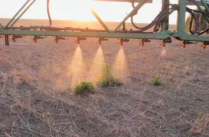 Productores piden crear alianzas para mejoras en el campo