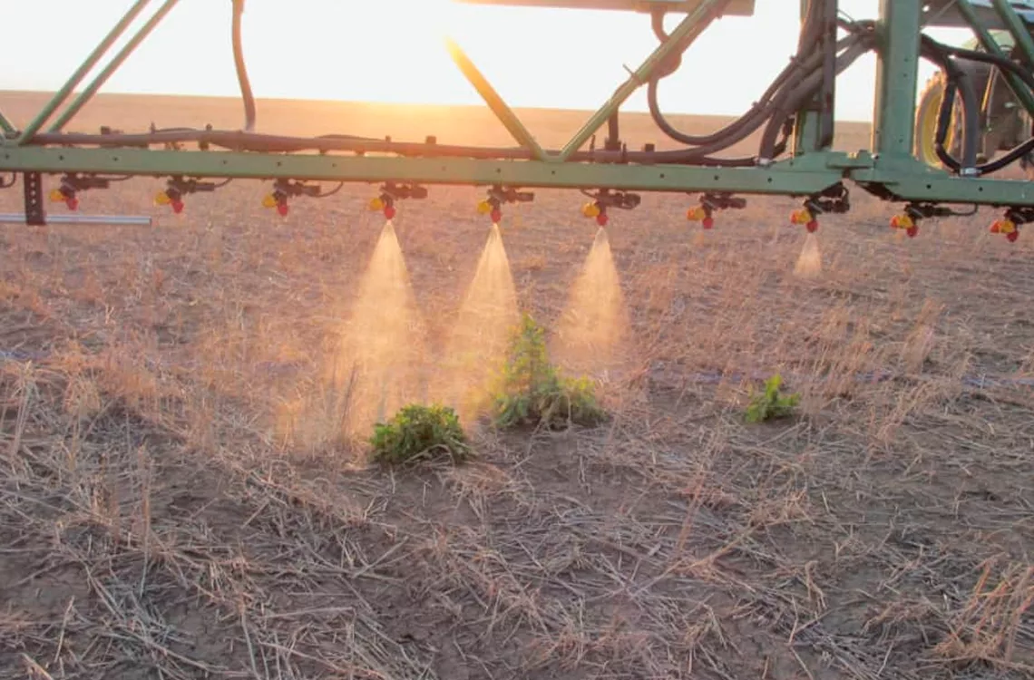 Productores piden crear alianzas para mejoras en el campo Productores piden crear alianzas para mejoras en el campo