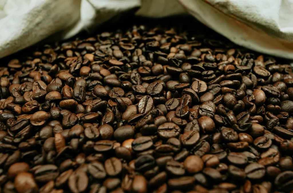 Productores de café: nuevo precio del café genera pérdidas