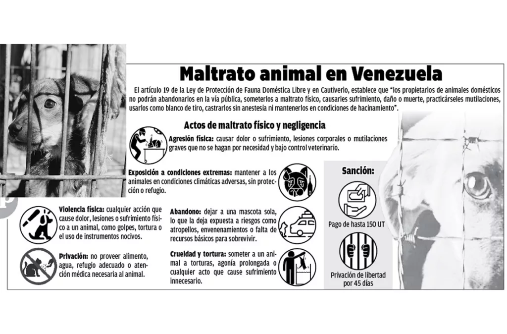 Proteccionistas piden penas de 5 a 10 años por maltrato animal