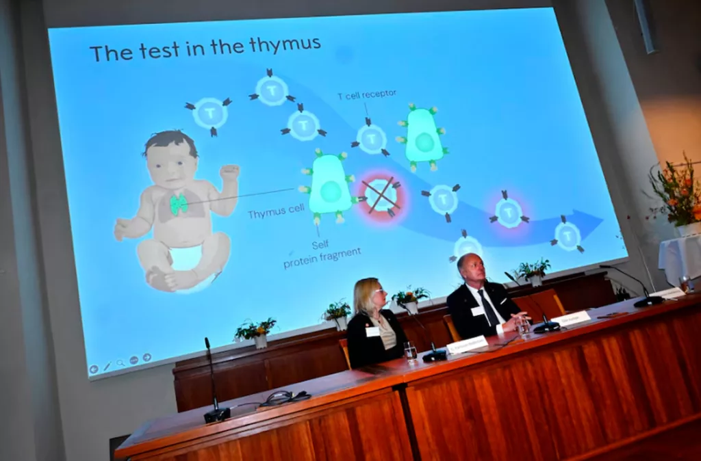 Nobel de Medicina galardona a tres científicos por sus descubrimientos del sistema inmunológico