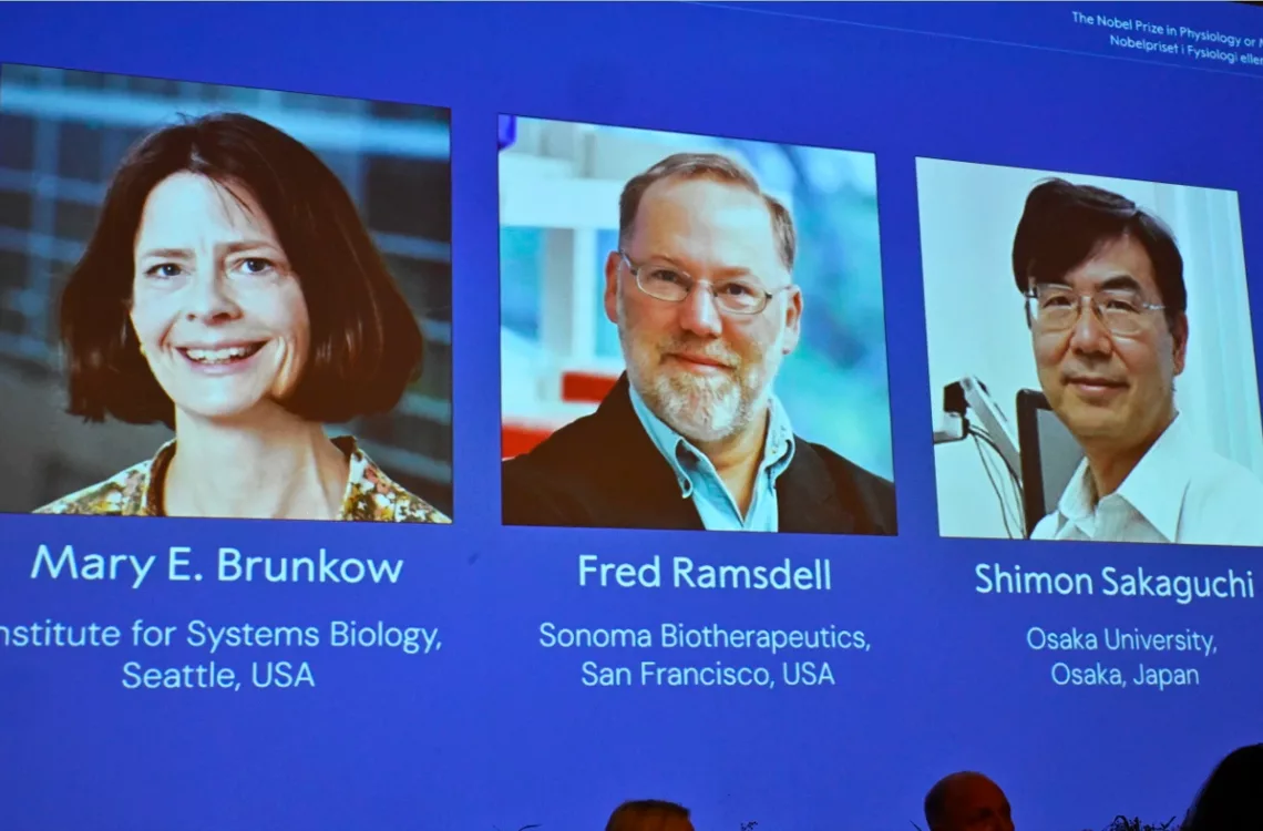 Nobel de Medicina galardona a tres científicos por sus descubrimientos del sistema inmunológico