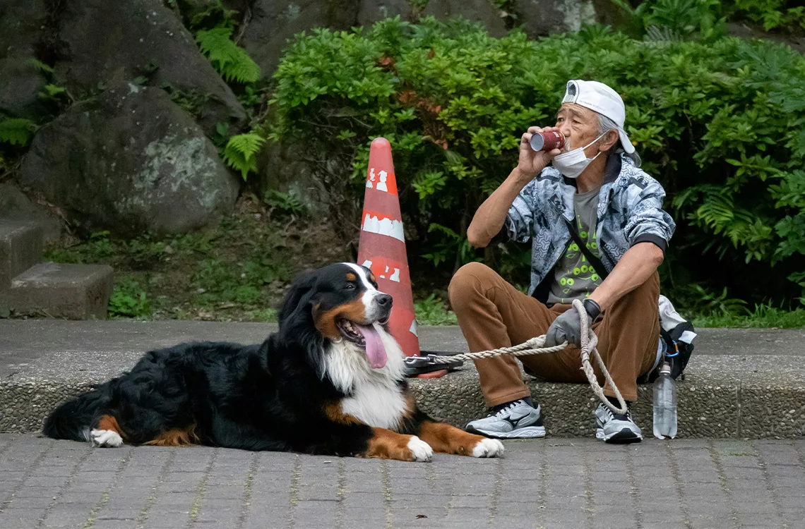 El número de mascotas supera la cantidad de niños menores de 15 años en Japón