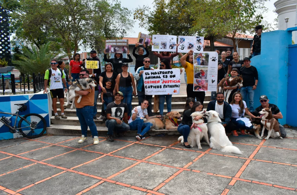 Rescatistas señalan zonas con envenenamiento masivo de animales