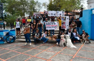 Rescatistas señalan zonas con envenenamiento masivo de animales