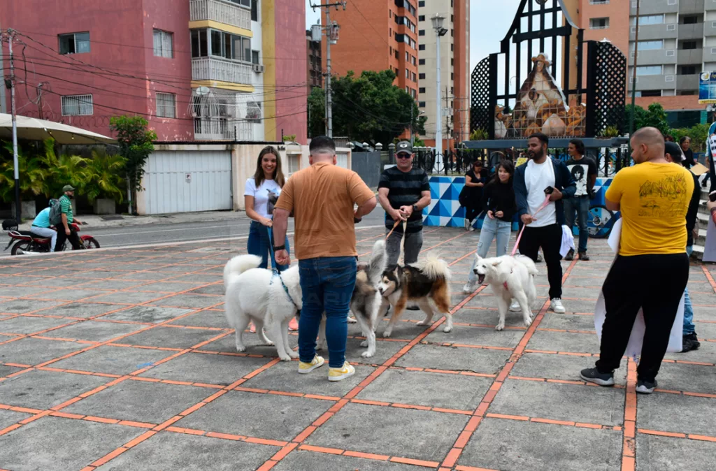Rescatistas señalan zonas con envenenamiento masivo de animales