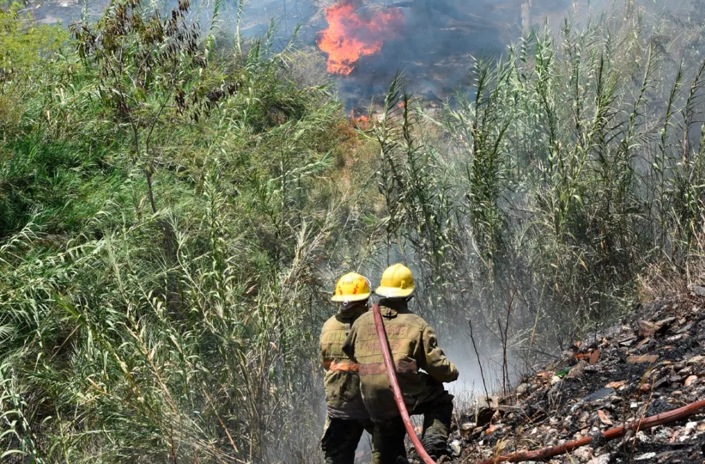 Delitos ambientales se expanden y amenazan áreas protegidas en Lara