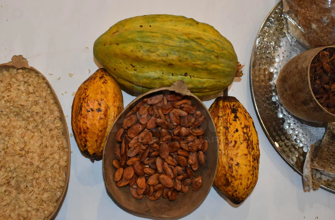 Café de especialidad es un mercado emergente en el país Café de especialidad es un mercado emergente en el país