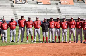 Cardenales de Lara