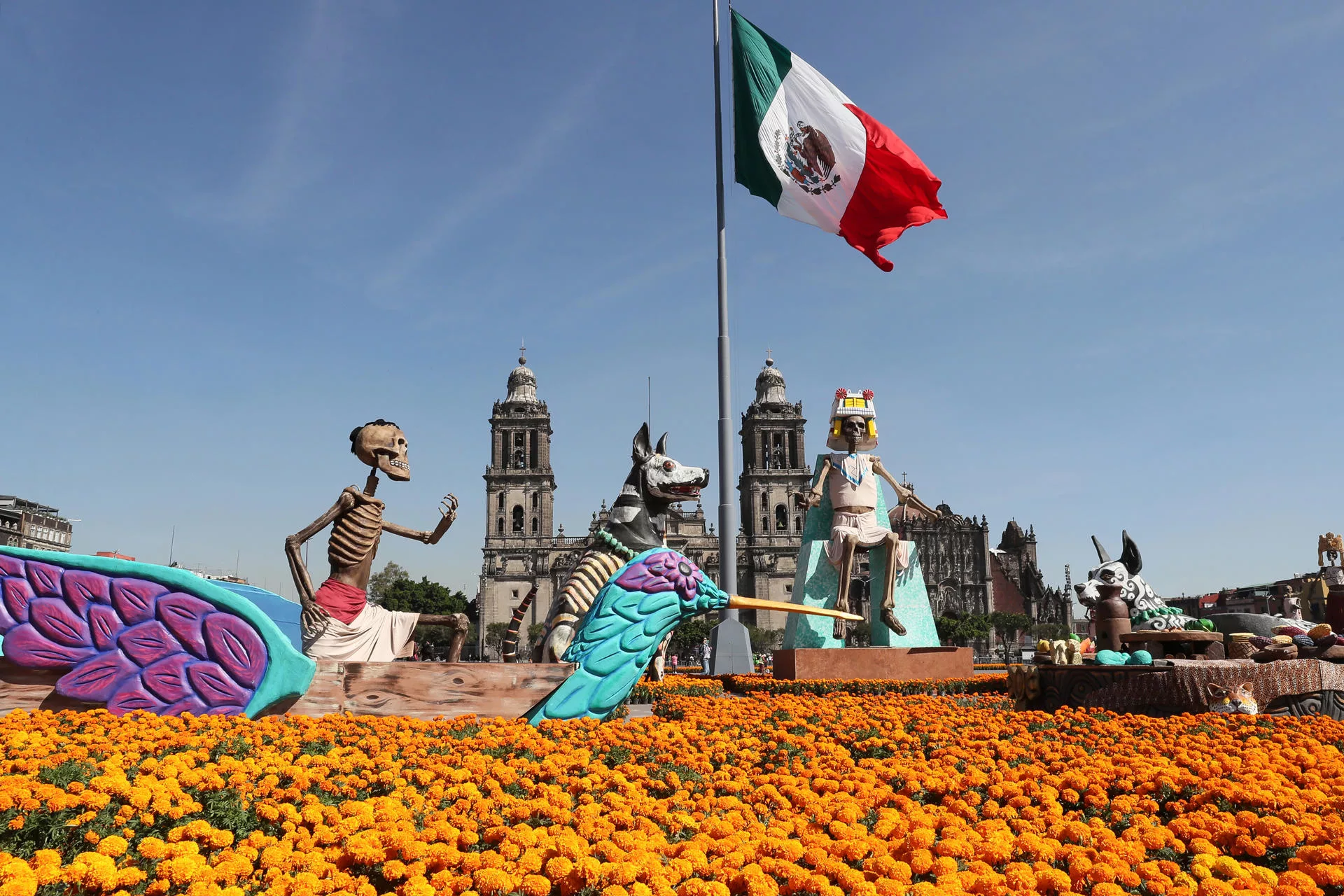Cempasúchil: la flor mexicana que guía a las almas de los difuntos de vuelta a sus hogares Cempasúchil: la flor mexicana que guía a las almas de los difuntos de vuelta a sus hogares