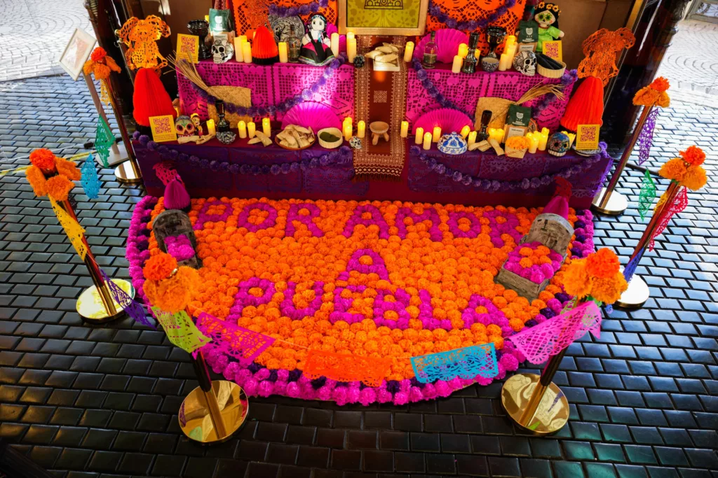 Cempasúchil: la flor mexicana que guía a las almas de los difuntos de vuelta a sus hogares