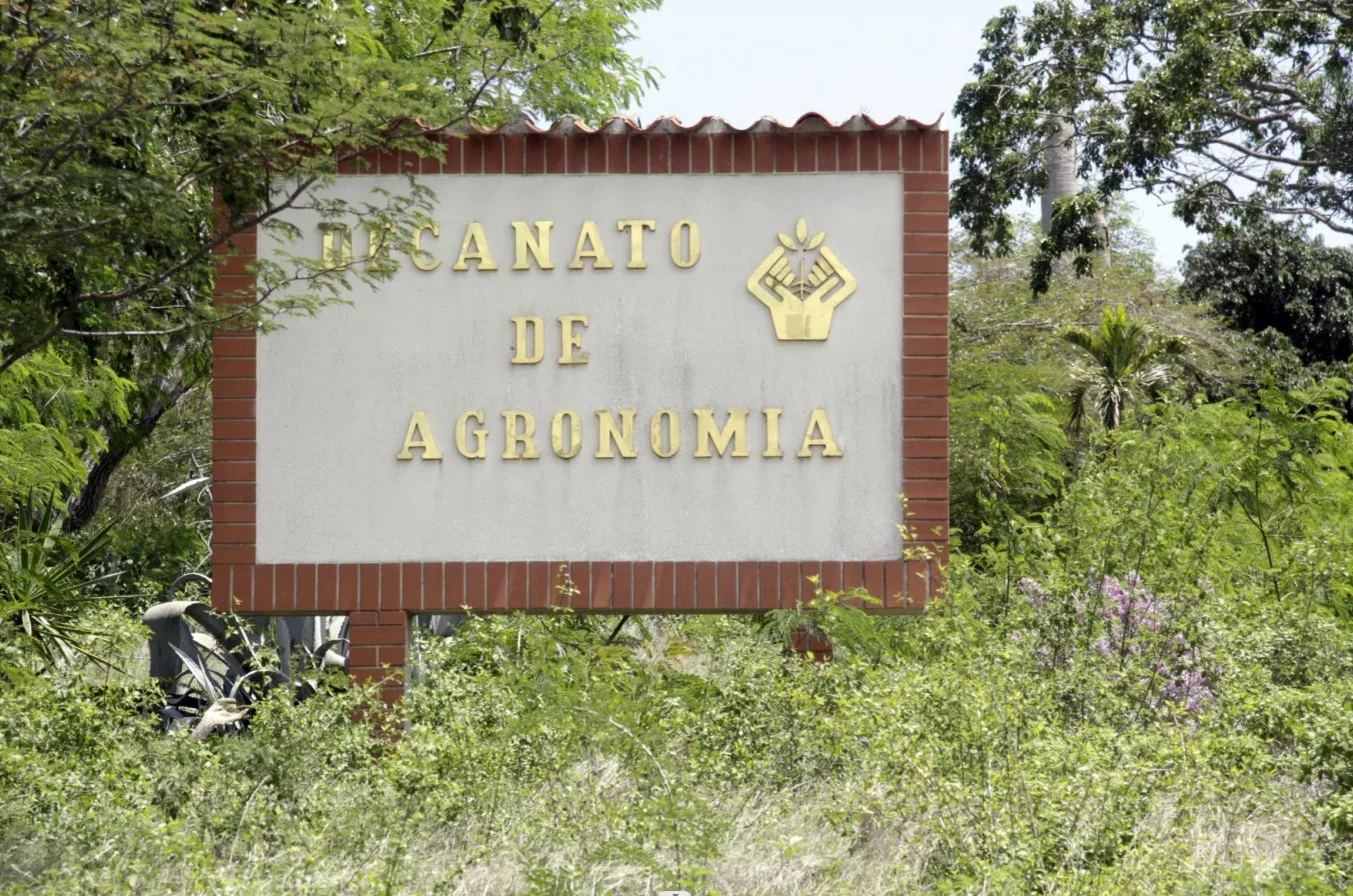 Universidades del país ven incremento en la matrícula de carreras agropecuarias