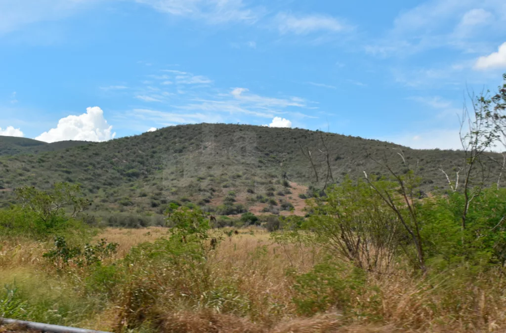 El Cují: 38 años de una parroquia que comenzó como un asentamiento y sigue en crecimiento