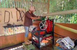 Primera ruta turística del café en Lara diversifica la economía de los caficultores