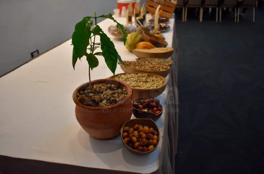 Primera ruta turística del café en Lara diversifica la economía de los caficultores