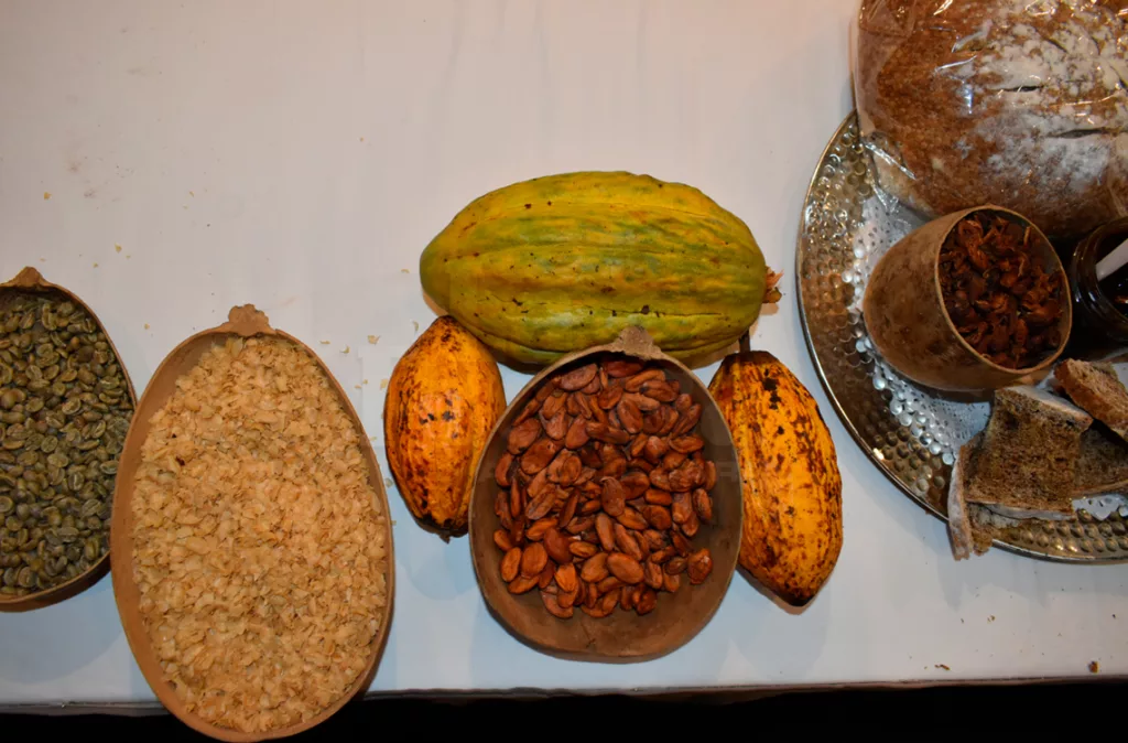 Primera ruta turística del café en Lara diversifica la economía de los caficultores