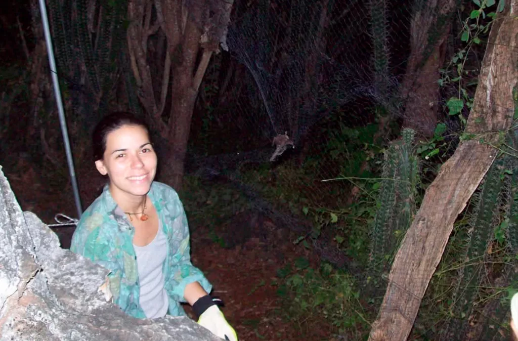 El murciélago: un mamífero temido que es clave para el agro