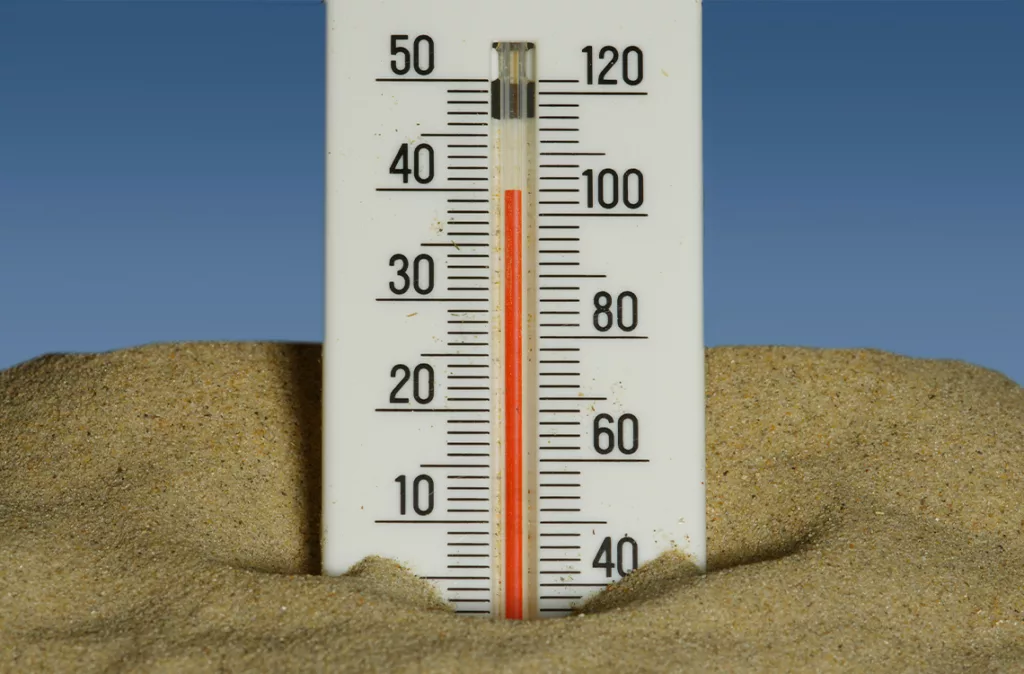 OMS: más de 540.000 personas mueren cada año debido a las olas de calor