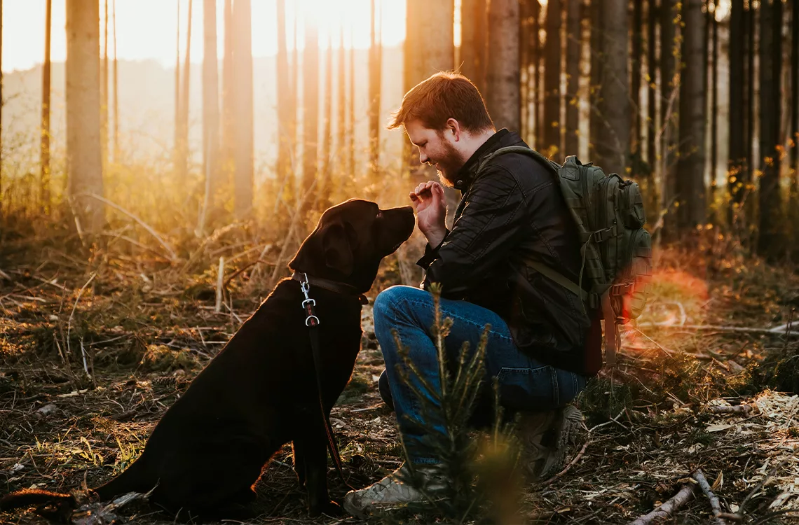 Estudio revela que el perro es el 'mejor amigo' del hombre desde hace más de 10.000 años