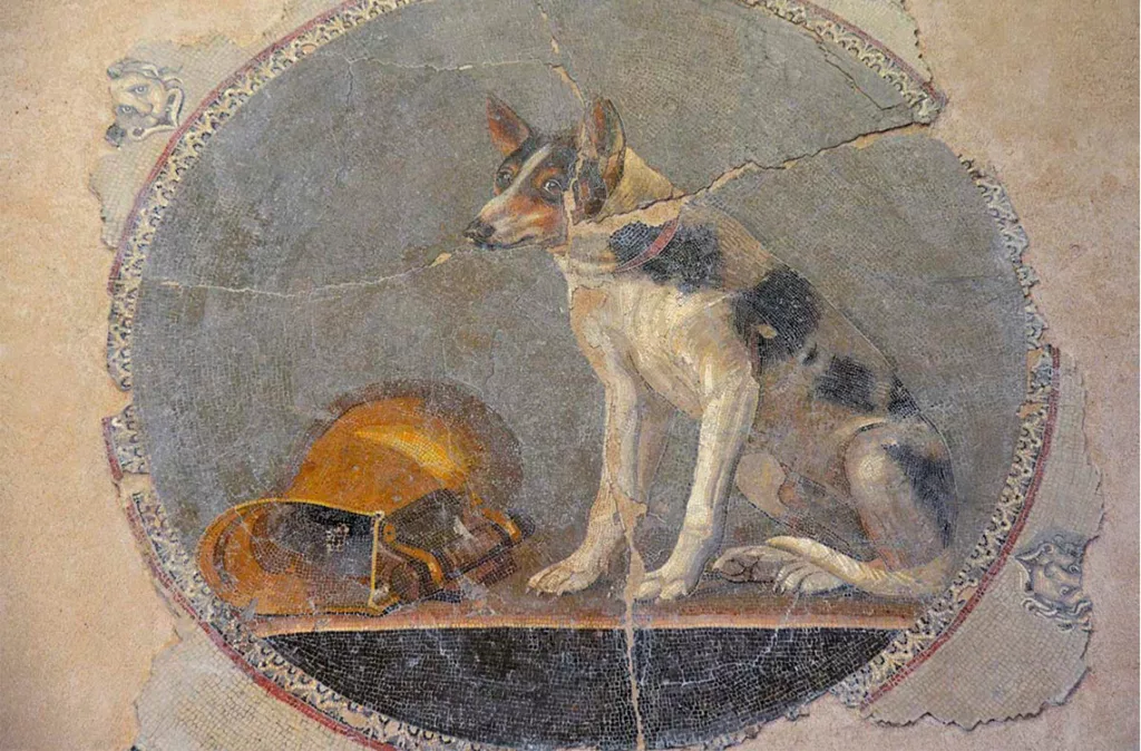 Estudio revela que el perro es el 'mejor amigo' del hombre desde hace más de 10.000 años