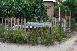 Vecinos de la Ruezga Norte transforman problemas en oportunidades