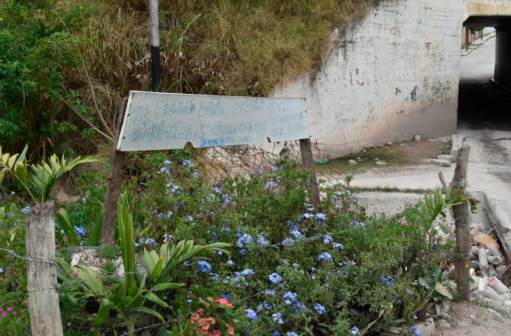 Vecinos de la Ruezga Norte transforman problemas en oportunidades