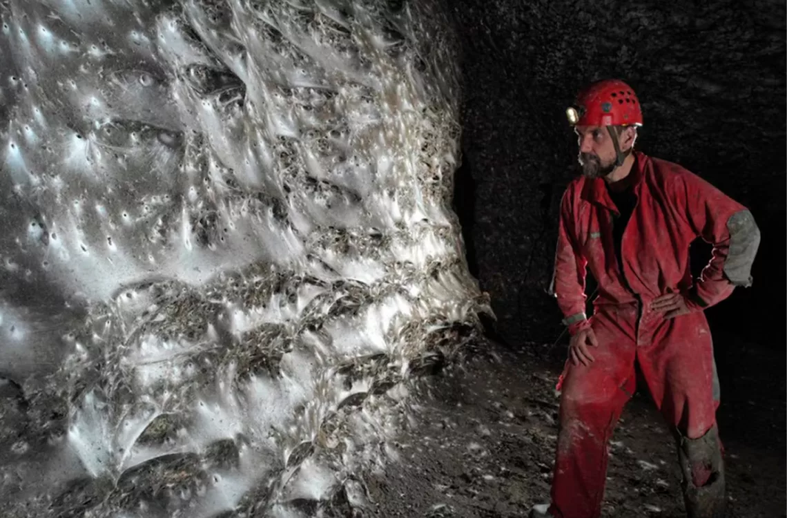 La telaraña más grande del mundo: Construida por más de cien mil arañas y con 106 metros cuadrados La telaraña más grande del mundo: Construida por más de cien mil arañas y con 106 metros cuadrados