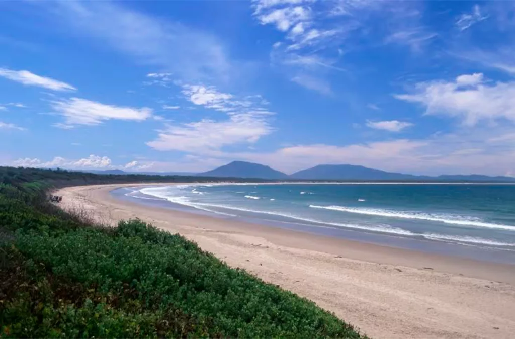 Tragedia en Australia: Ataque de tiburón deja una mujer fallecida y un herido grave