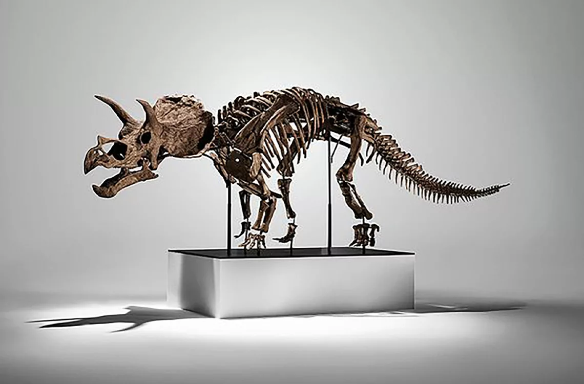 Esqueleto de un tricerátops fue vendido en una subasta en Nueva York por 5,3 millones
