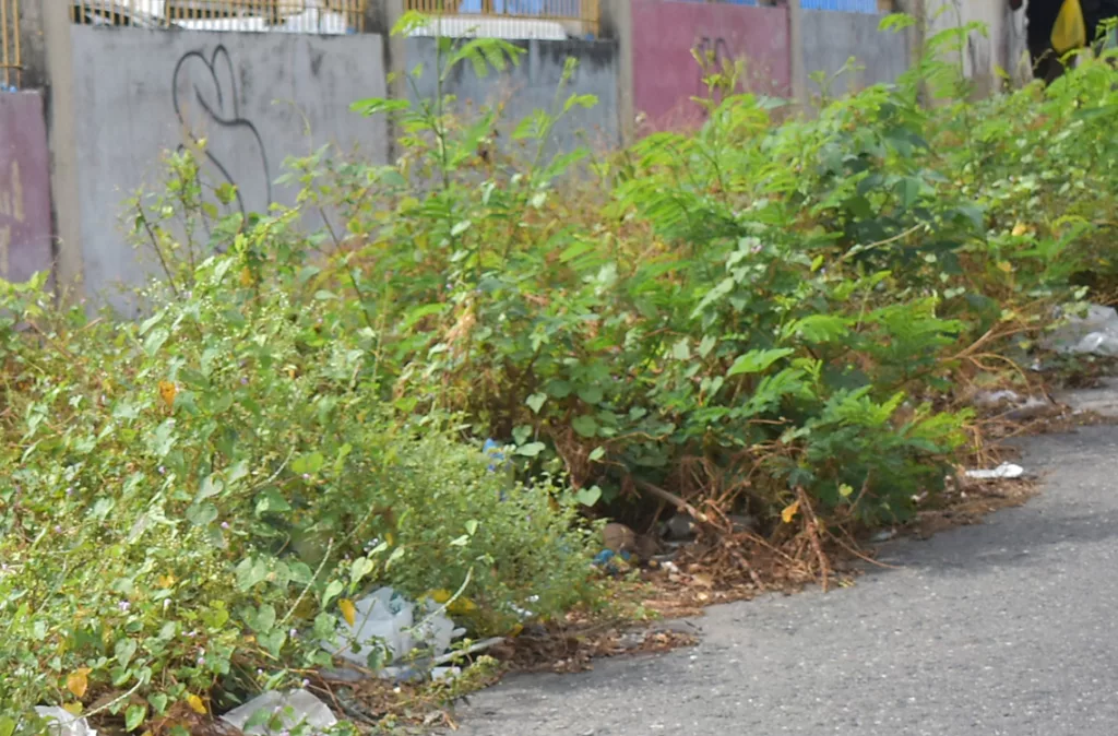 Aceras deterioradas y obstruidas ponen en peligro a los peatones en Barquisimeto