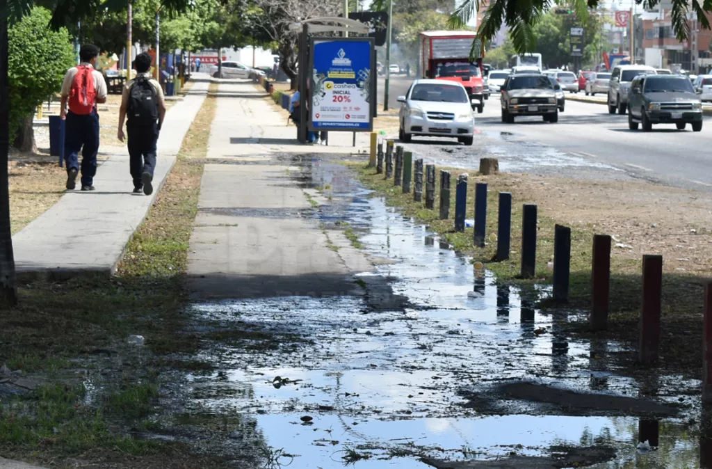 Aguas negras inundan el Paseo de la Música