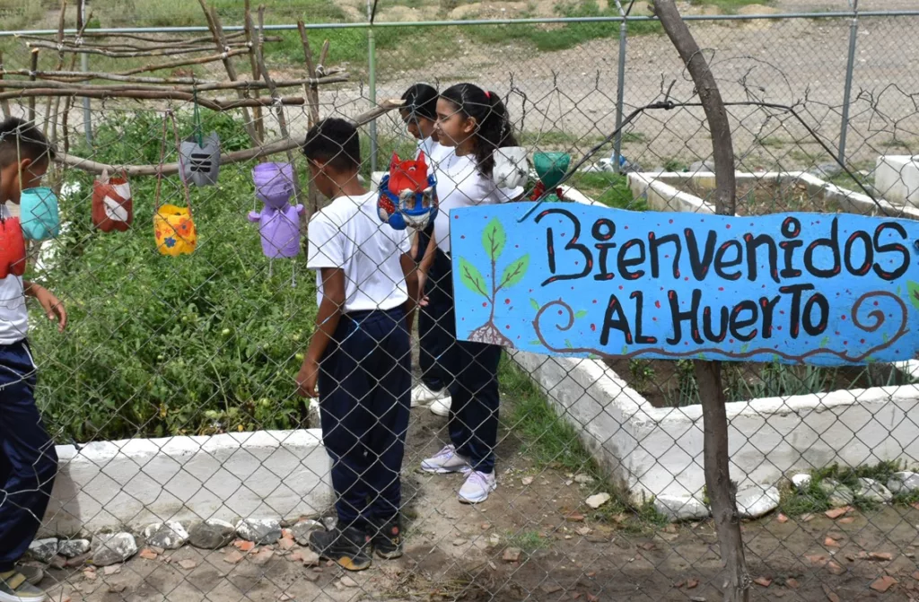 Educación ambiental debe ir más allá de sembrar plantas