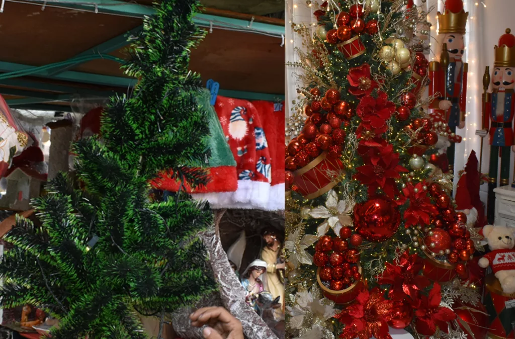 Arbolitos navideños se alquilan en estas Navidades