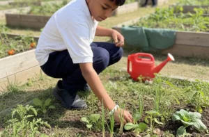Educación ambiental debe ir más allá de sembrar plantas