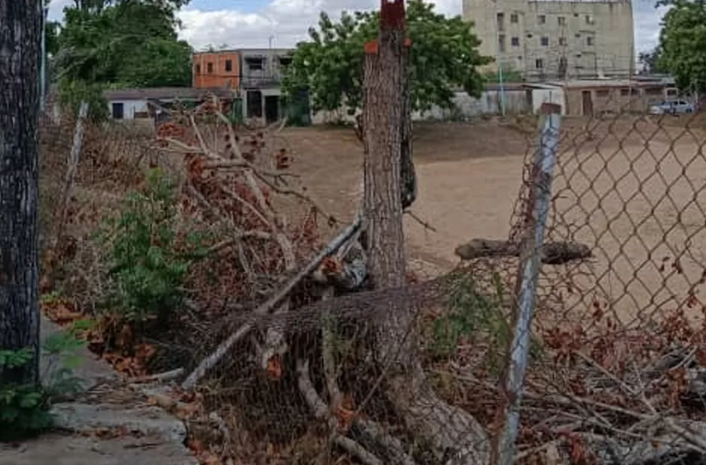 familias del sector Fortunato Orellana piden reasfaltado y agua 