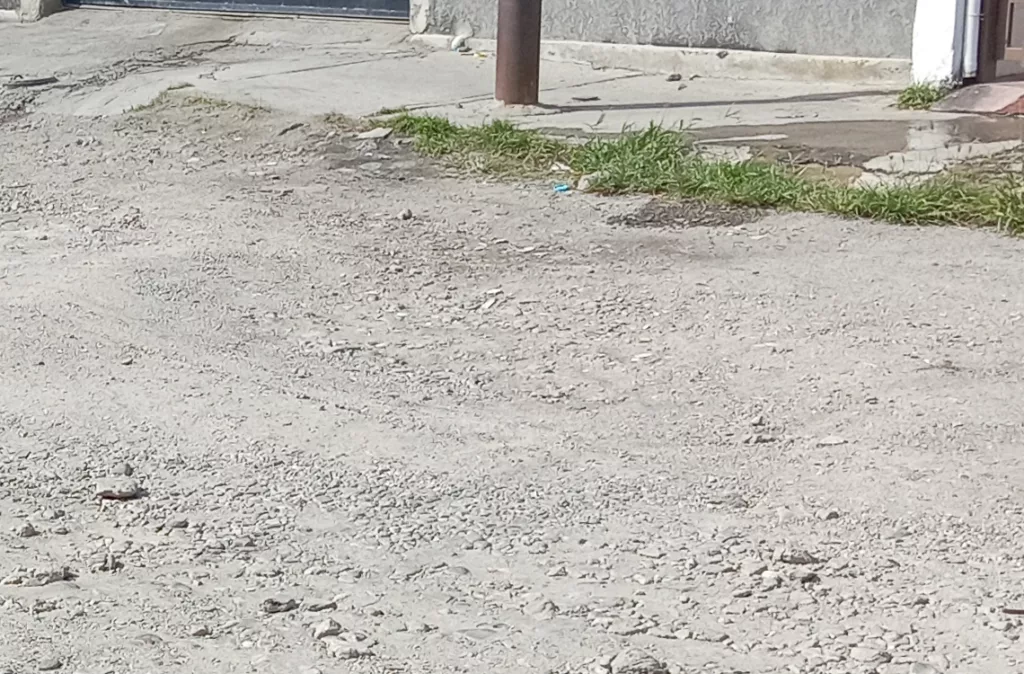 Vecinos de la calle 21 claman por asfalto en Barquisimeto desde hace ocho años