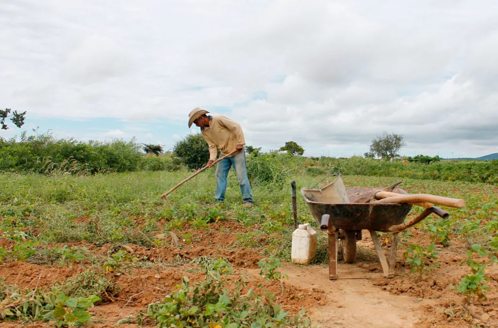 Agricultura ecológica: El impulso de los ingenieros agrónomos para conquistar el mercado europeo