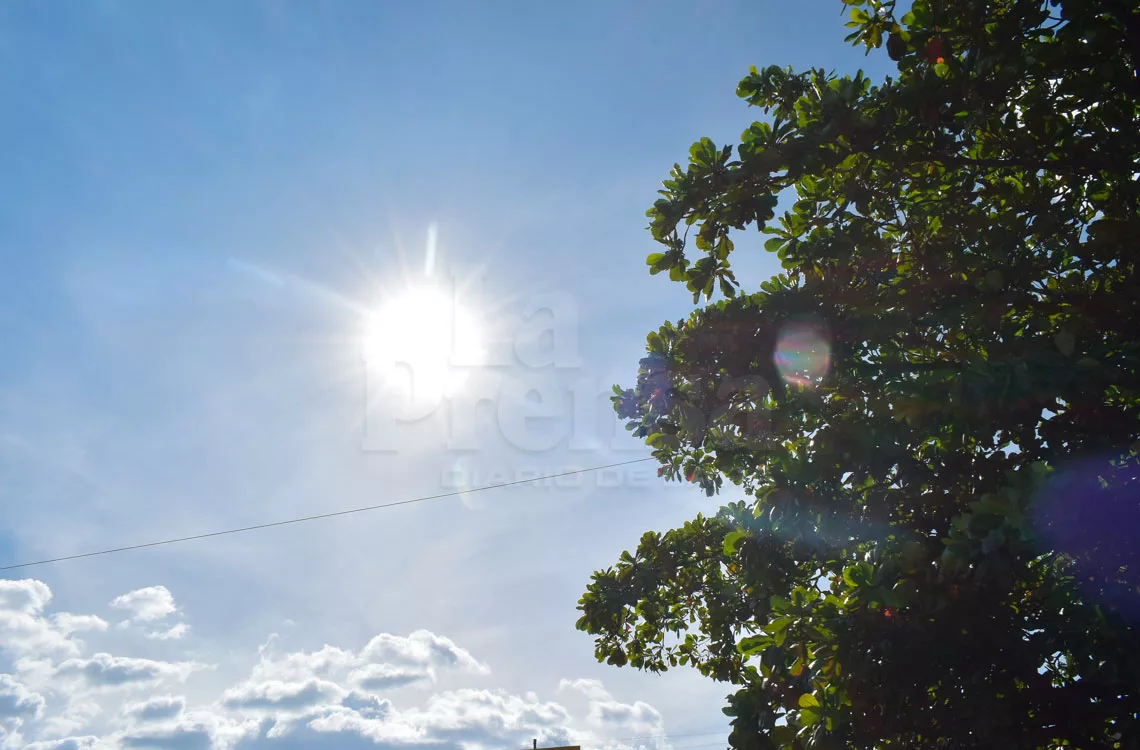 Cambio climático afecta al 67% de los habitantes de Lara