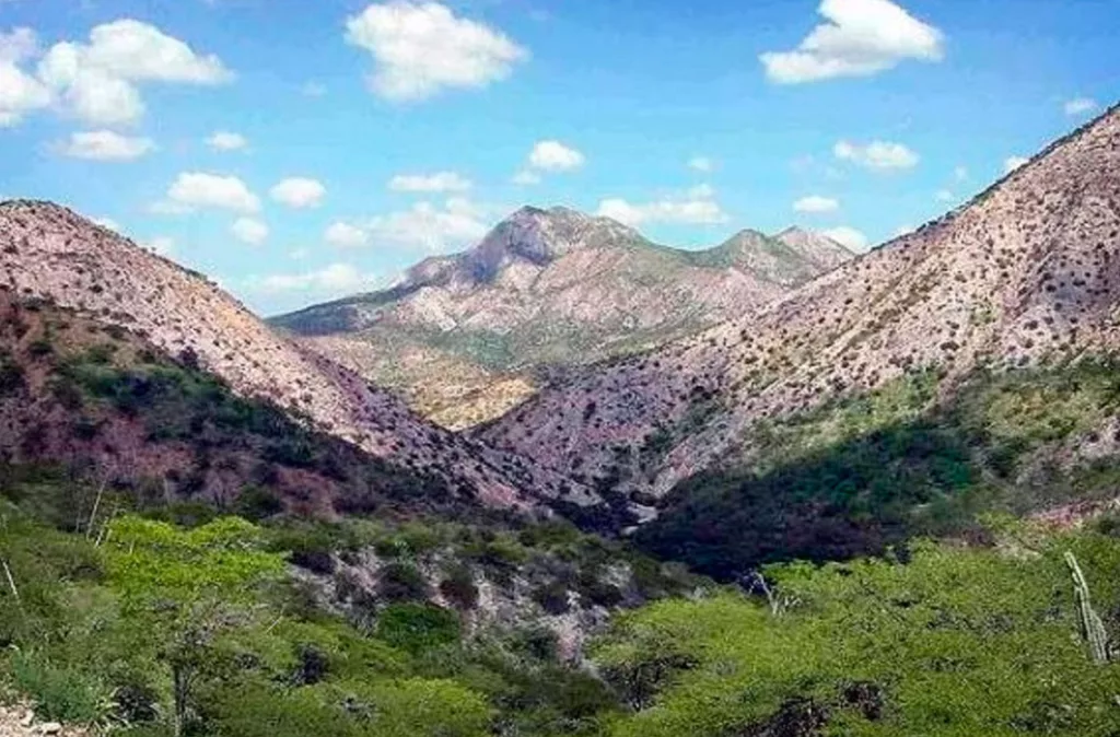 Cambio climático afecta al 67% de los habitantes de Lara