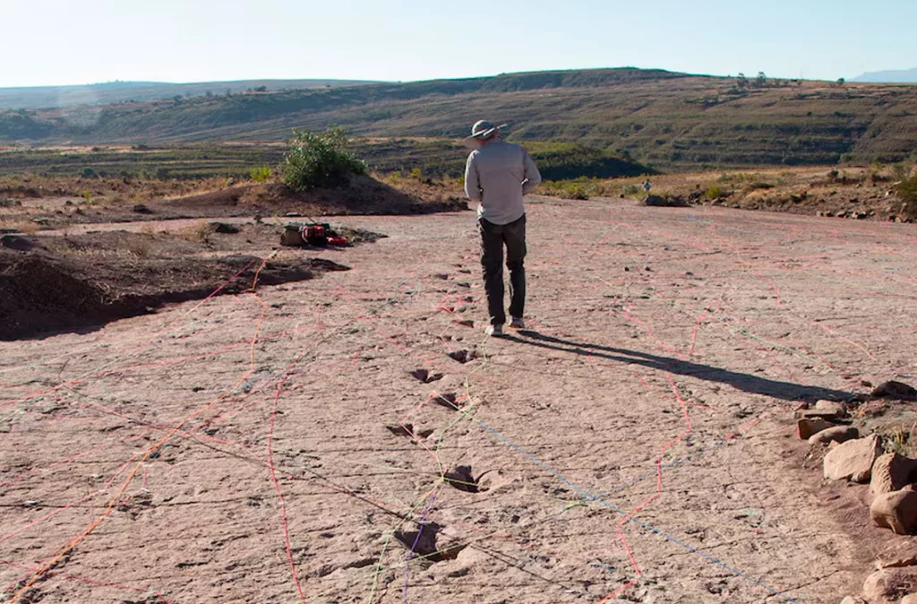 Récord paleontológico en Bolivia: Hallan más de 16.000 huellas de dinosaurios en Carreras Pampa