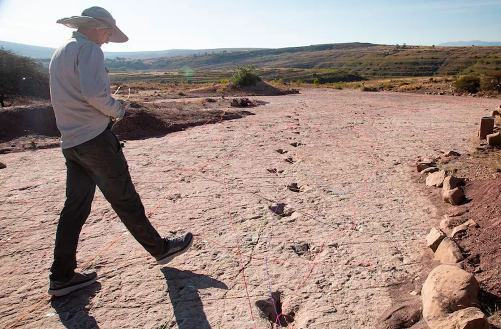 Récord paleontológico en Bolivia: Hallan más de 16.000 huellas de dinosaurios en Carreras Pampa