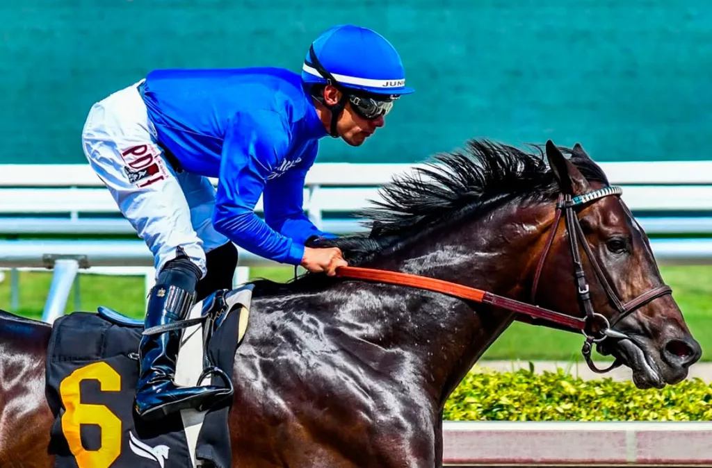 El jinete Junior Alvarado es nombrado Atleta del Año 2025 en Venezuela