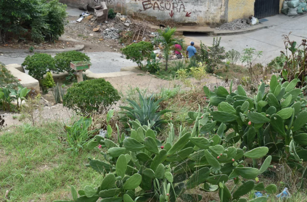 Sectores de la parroquia Unión impulsan la cultura y la conservación