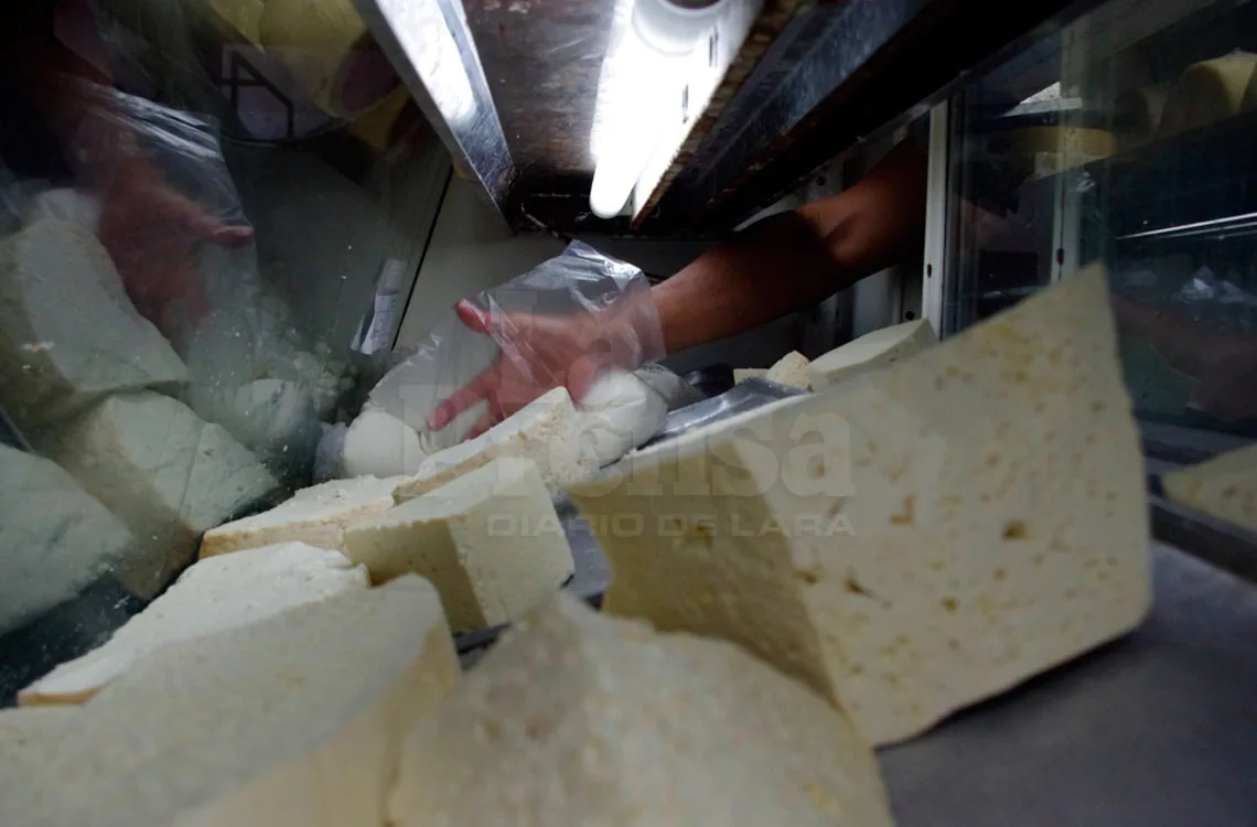 El queso blanco acapara el 84% de la producción láctea nacional El queso blanco acapara el 84% de la producción láctea nacional