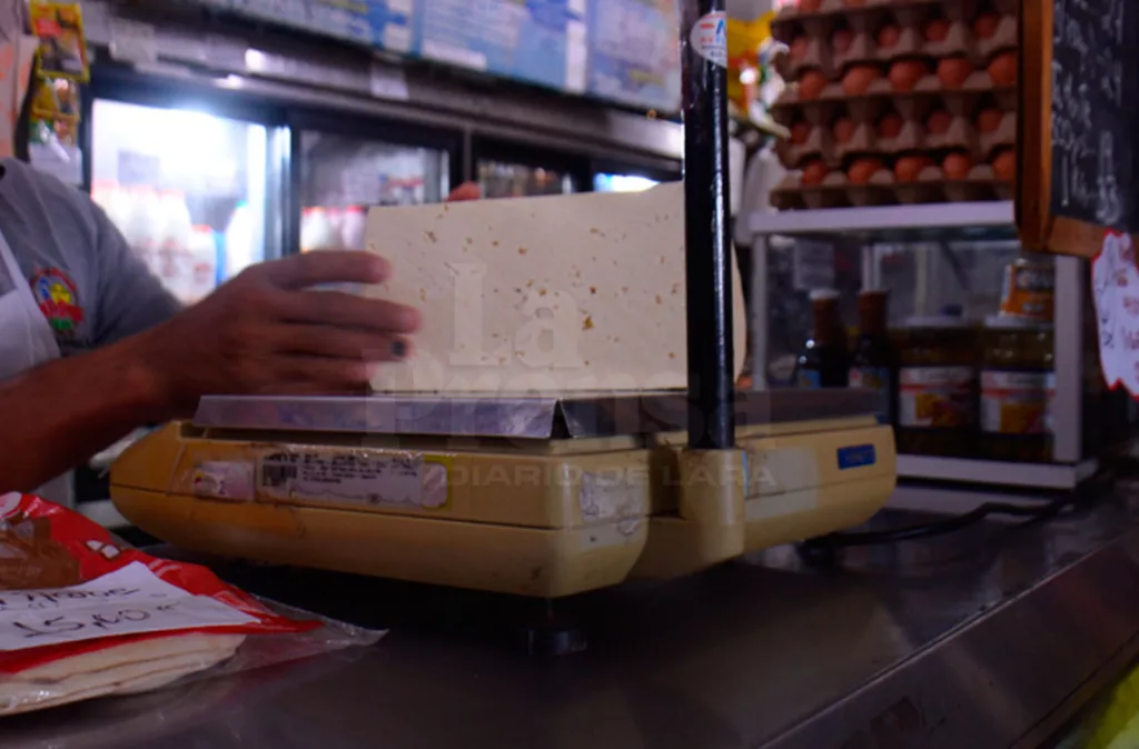 El queso blanco acapara el 84% de la producción láctea nacional