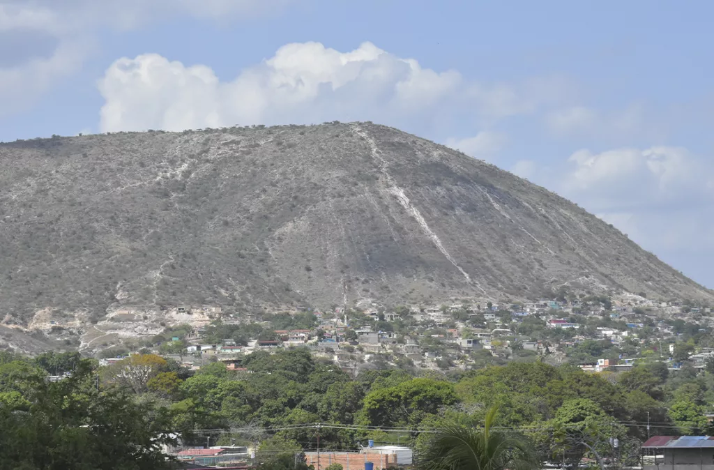 Unión celebra 60 años honrando su legado de organización y trabajo