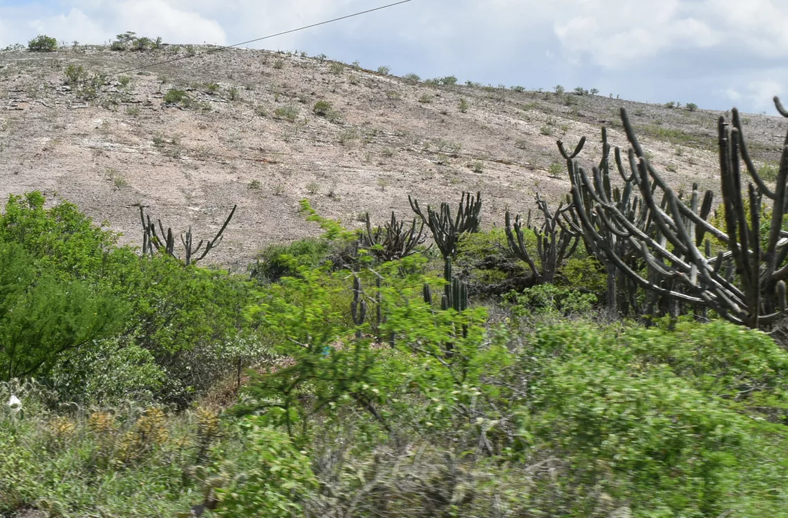Depredación ambiental sin freno en Lara