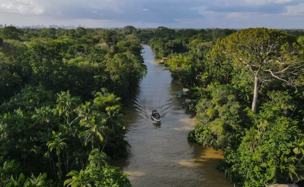 En la Amazonía surge un nuevo clima "hipertropical" que amenaza la supervivencia del bosque